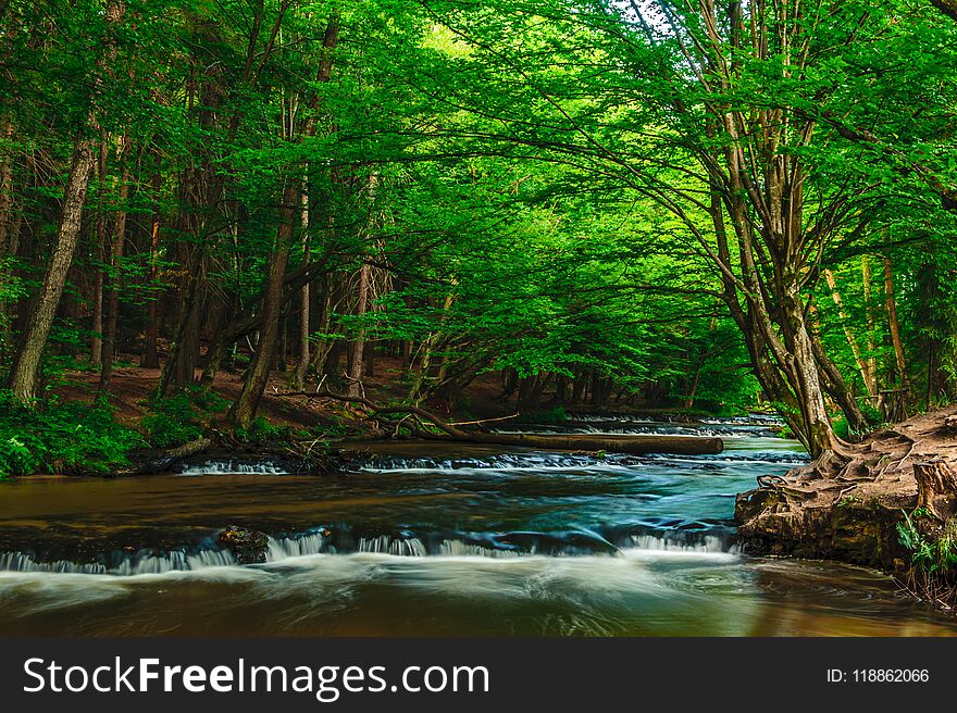 Cascade On The Tanew River In Poland