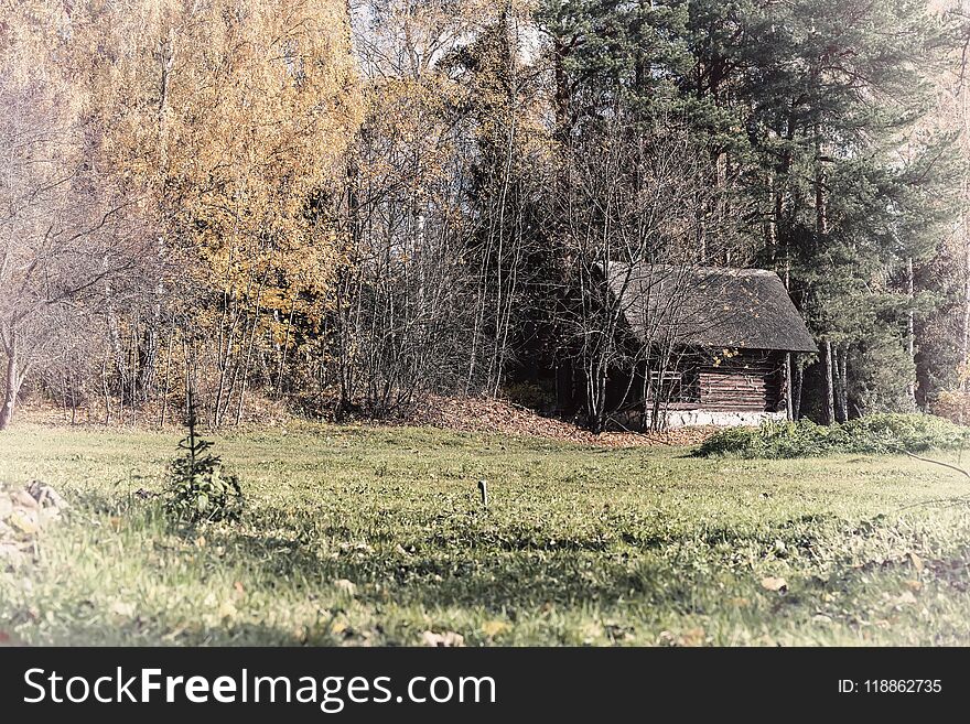 Old wooden vintage rural shed, country yard on the fringe of the forest of the picturesque forest in autumn. Solitary life, lifestyle, seasons