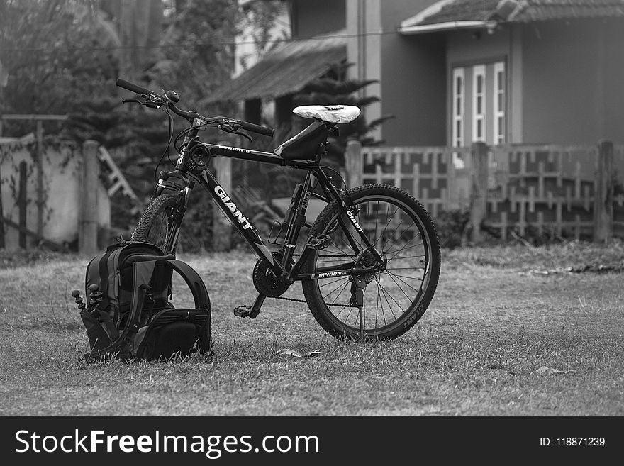 Land Vehicle, Bicycle, Black And White, Vehicle