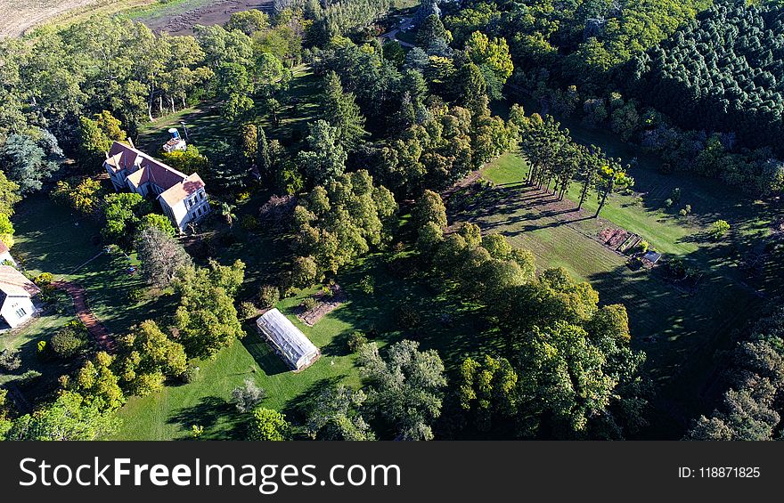 Aerial Photography, Nature Reserve, Bird S Eye View, Tree
