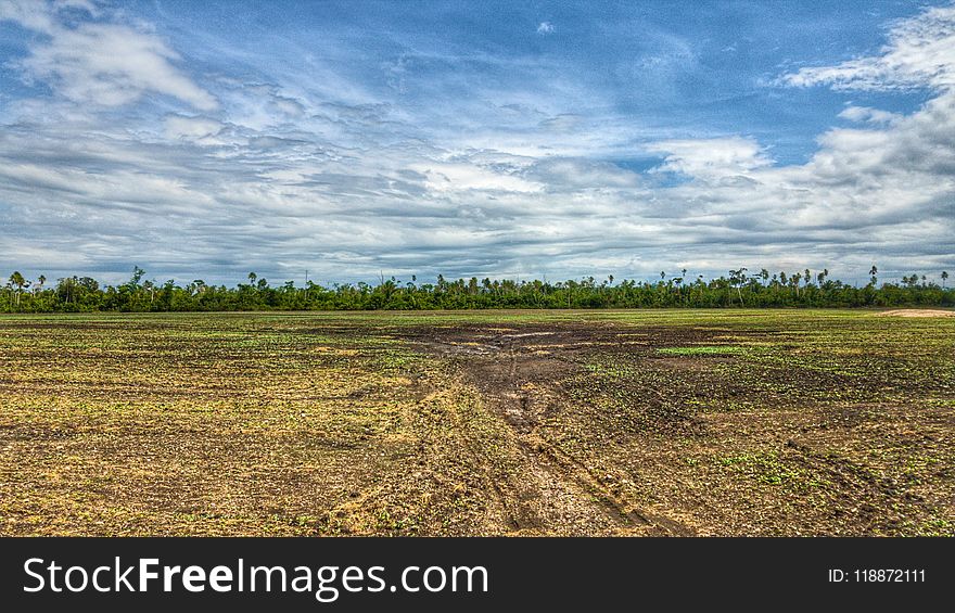 Sky, Grassland, Ecosystem, Field