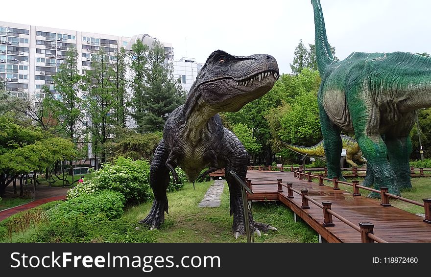 Dinosaur, Tyrannosaurus, Velociraptor, Tree