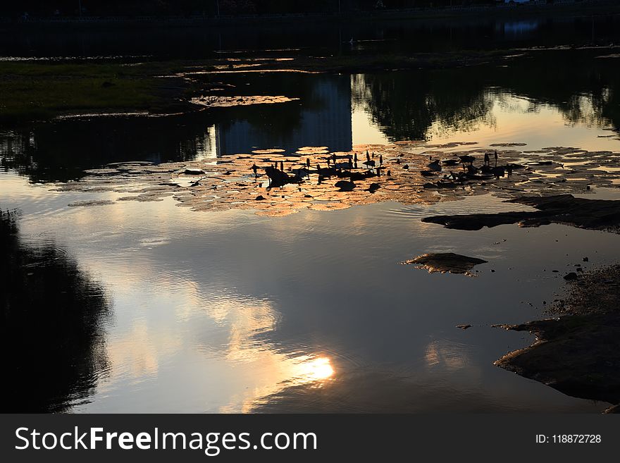 Reflection, Water, Body Of Water, Sky