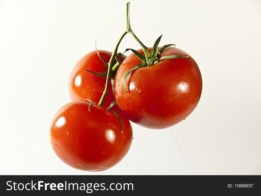 Close up view of tomatoes