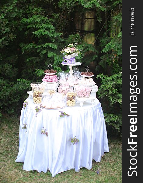 White table with sweets and tasty food in park. Concept of wedding cakes.