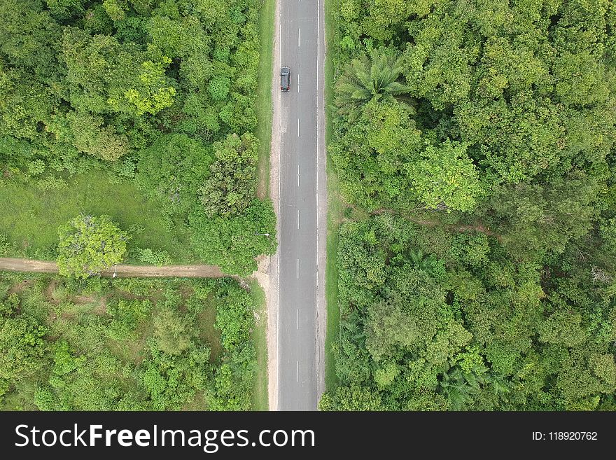 Aerial Photo Of Black Vehicle On Grey Concrete Road Between Forest