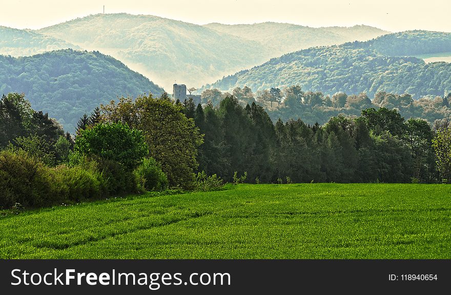 Grassland, Highland, Vegetation, Field