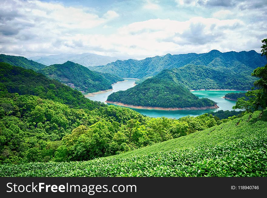 Highland, Nature, Vegetation, Nature Reserve