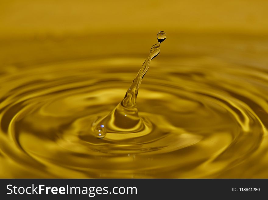 Water, Drop, Yellow, Macro Photography
