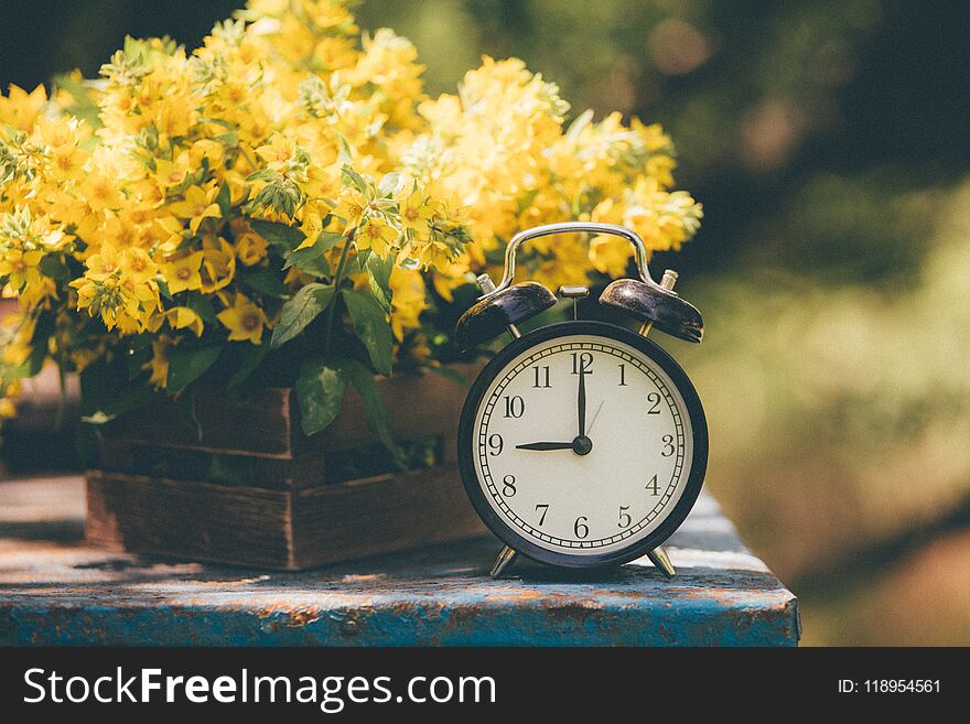 Retro 9 O`clock. Flowers In Old Wooden Box. Day Light Garden Background With Space For Text.