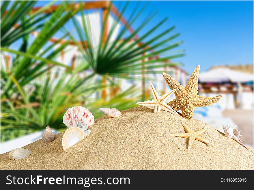 Cancun beach mexico sunlight aquatic coast nobody