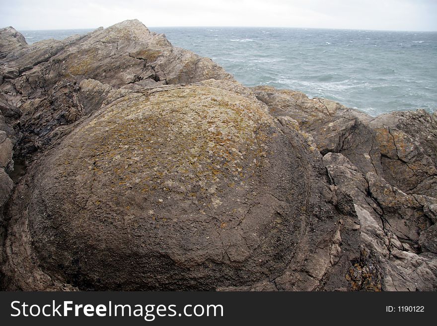 Fossil Forest in Dorset, England