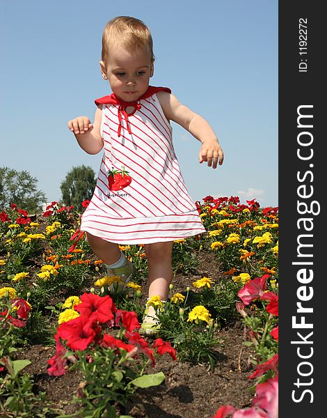 Baby in flowers. sunny day