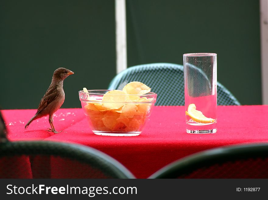 Digital photo of a sparrow in an outdoor cafe trying to snarf some chips.