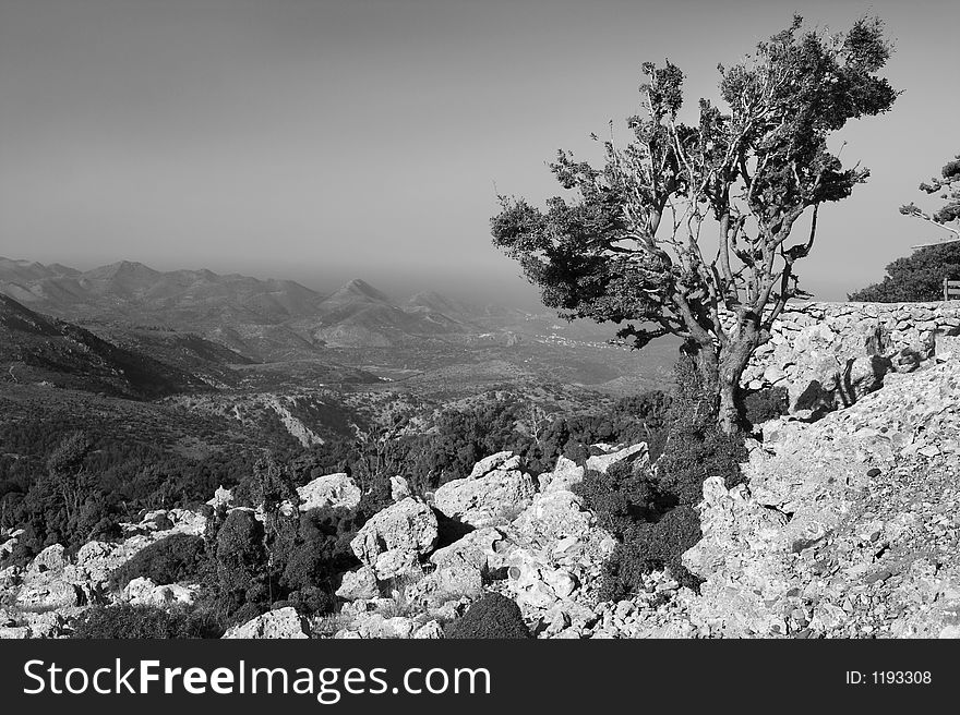Black and white picture of a lonely tree against background of mountains