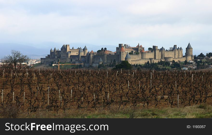 French medieval castle Carcassonne with vineyard on foreground.