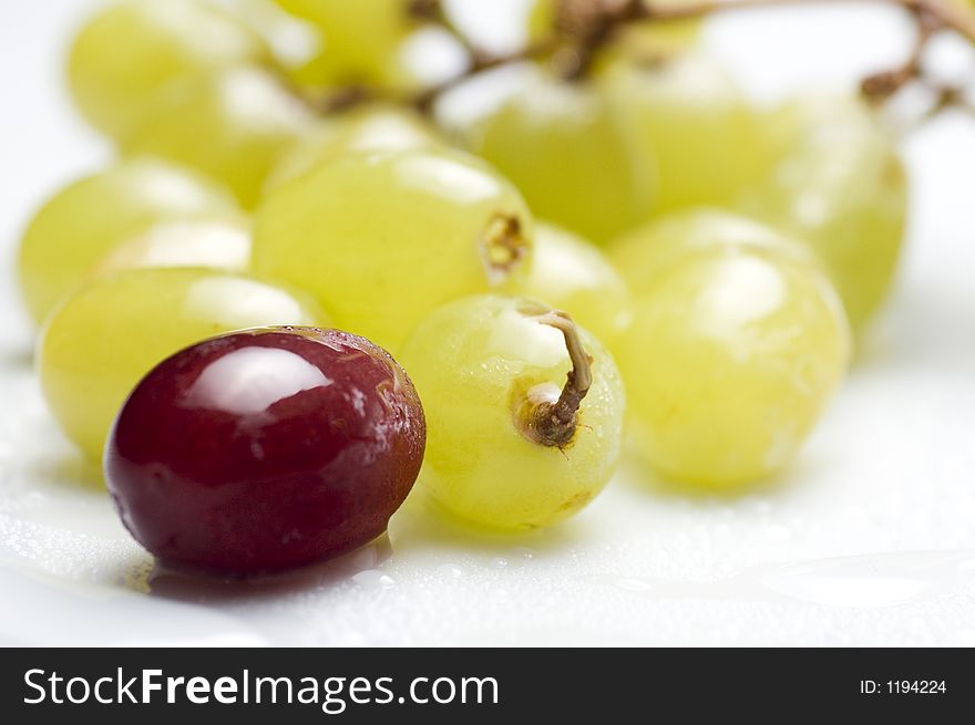 Close up of green grapes with single red grape