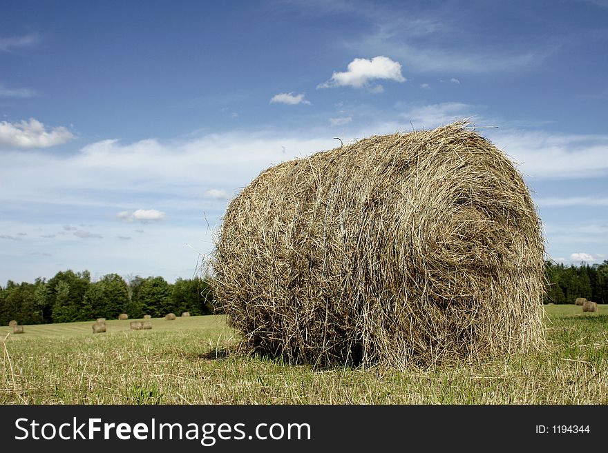 Big ball of hay in Quebec. Big ball of hay in Quebec.