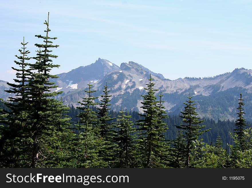 Forest and Peaks, Mount Rainier, Washington, USA