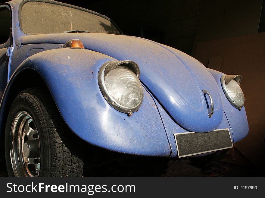 An old beetle