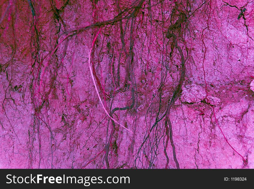 Colored veins from tree. Colored veins from tree