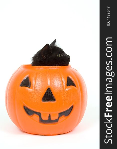 A black cat peeks out of the top of a plastic pumpkin. A black cat peeks out of the top of a plastic pumpkin