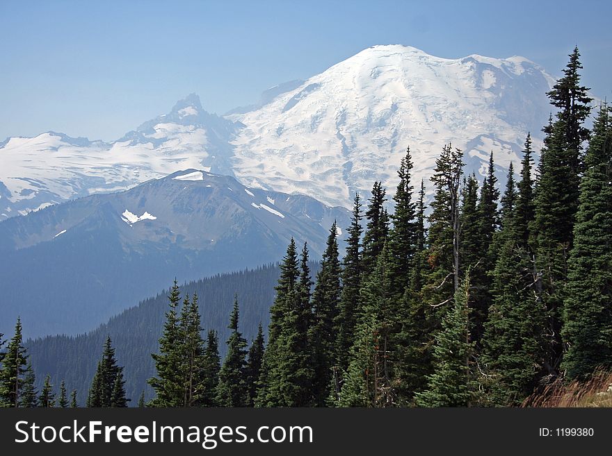 A view of Mt Rainier from Sunrise in the Mt Rainier National Park, Washington. A view of Mt Rainier from Sunrise in the Mt Rainier National Park, Washington