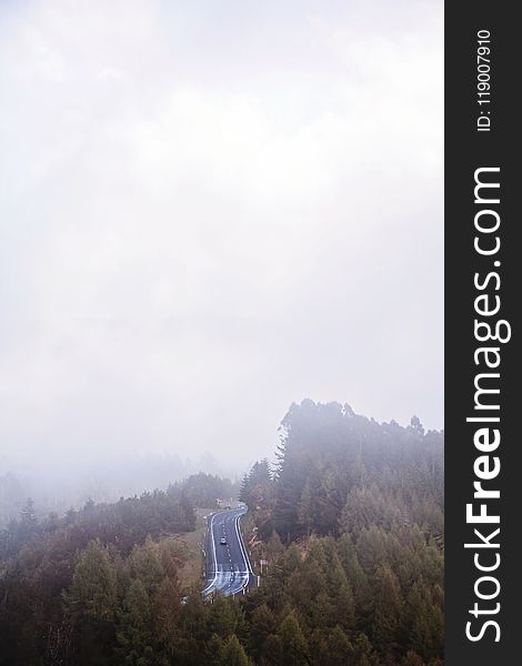 Highway In The Middle Of Forest Covered In Fog