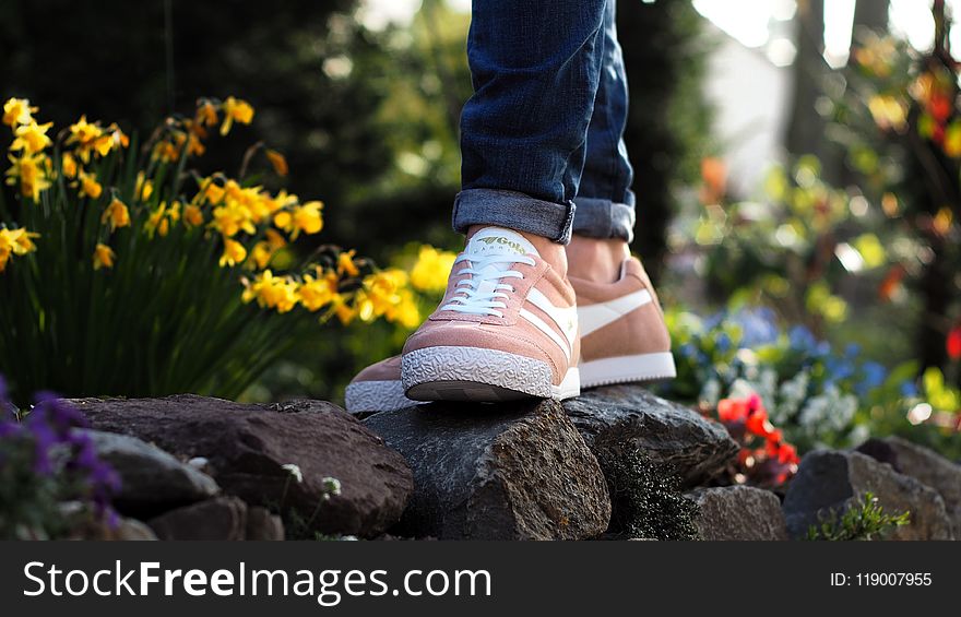 Person Wearing Pink Nike Low-top Sneakers Stepping On Stone Surrounded By Flower