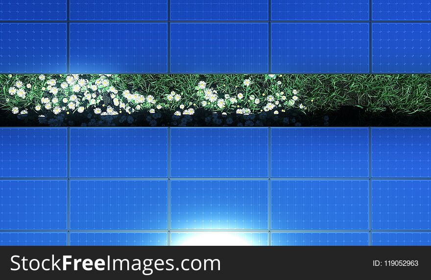 Solar panels over grass and daisies