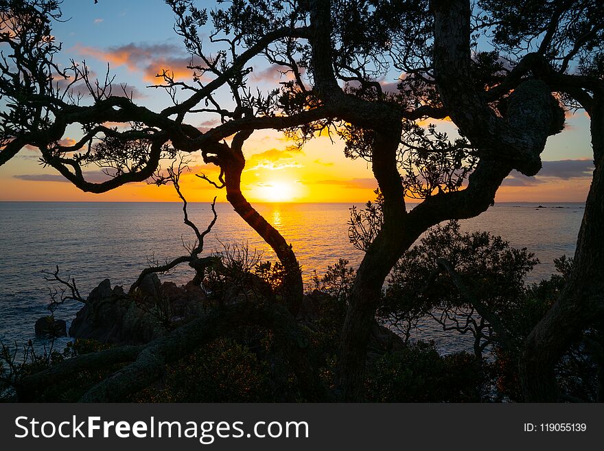 Pacific Sunrise From Mount Maunganui.