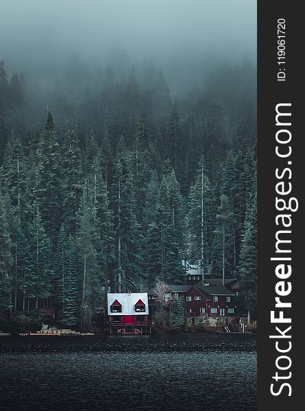 White And Red Wooden Cabin Near Forest