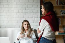 Two Female Friends Communicating, Working With Laptop Stock Photo