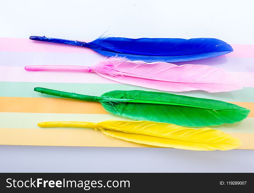 Collection of bright colored feathers on a colorful background