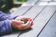 Hands Of The Old Woman Recalculate Coins On A Wooden Table Royalty Free Stock Photography