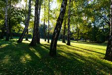 Sunrise In The City Park During Early Autumn, Zagreb In Croatia Royalty Free Stock Images Sunrise In The City Park During Early Autumn, Zagreb In Croatia Royalty Free Stock Images