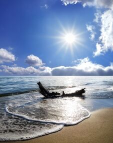 Dried Tree Trunk On Beach Stock Photos Dried Tree Trunk On Beach Stock Photos