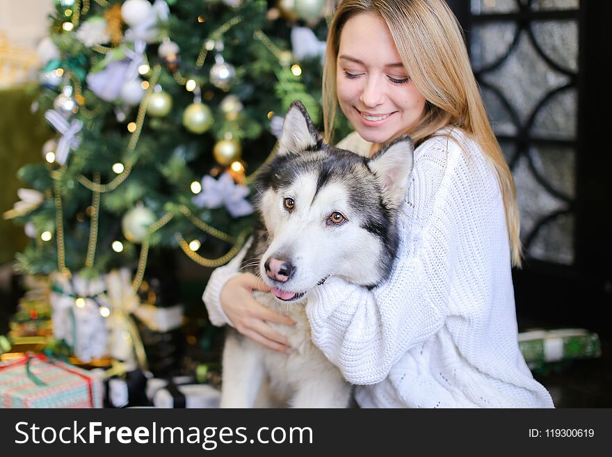 Portrait of caucasian woman with malamute, Christms tree in background.