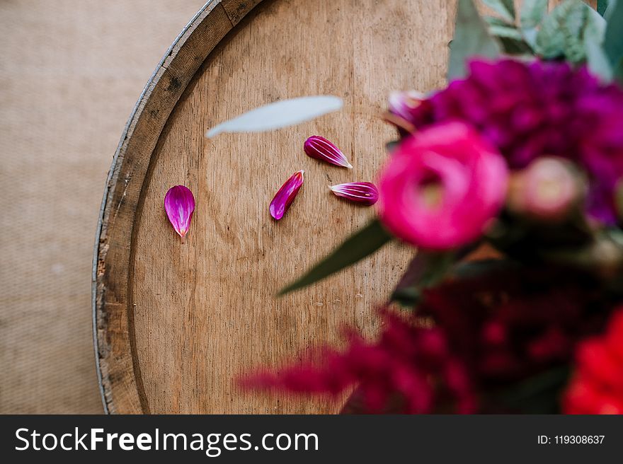 Selective Focus Photography Of Pink Petals