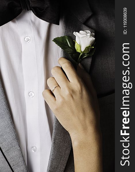 Person Holding White Rose