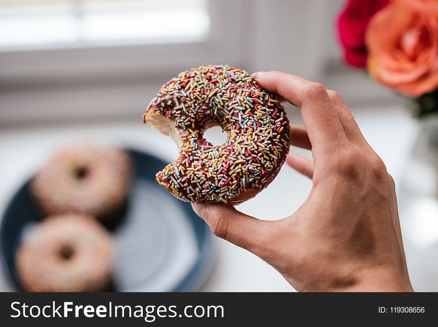 Person Holding Doughnut With Sprinkles
