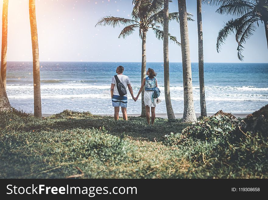 Man And Woman Holding Hand Near Beach Shore Under Sunny Sky