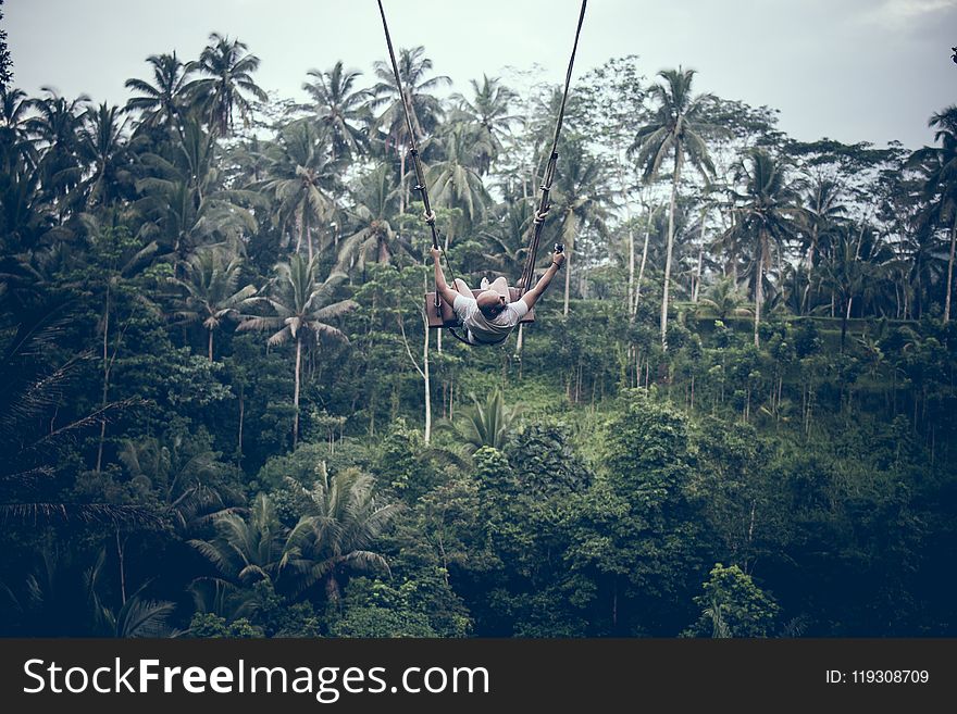 Man On A Swing