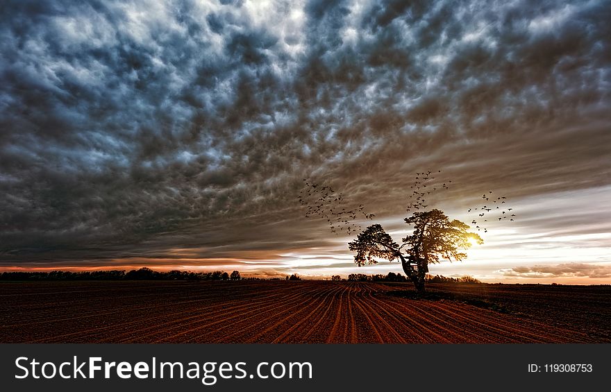 Silhouette Of Trees Under Cloudy Skies