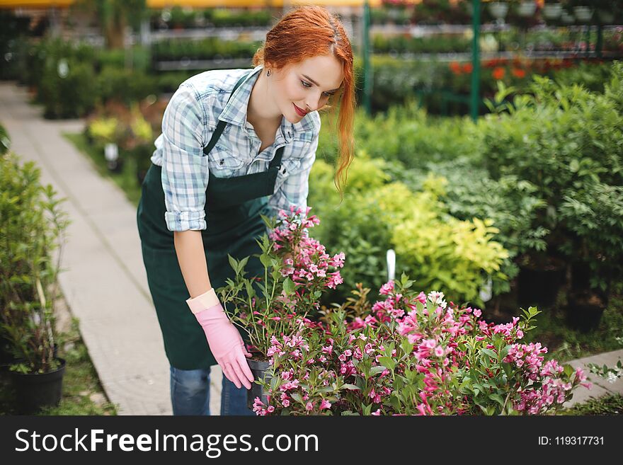 Beautiful redhead florist in apron and pink gloves standing and happily working with flowers in greenhouse