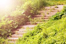 Stone Stairs Covered In Grass Leading Upwards Stock Photography