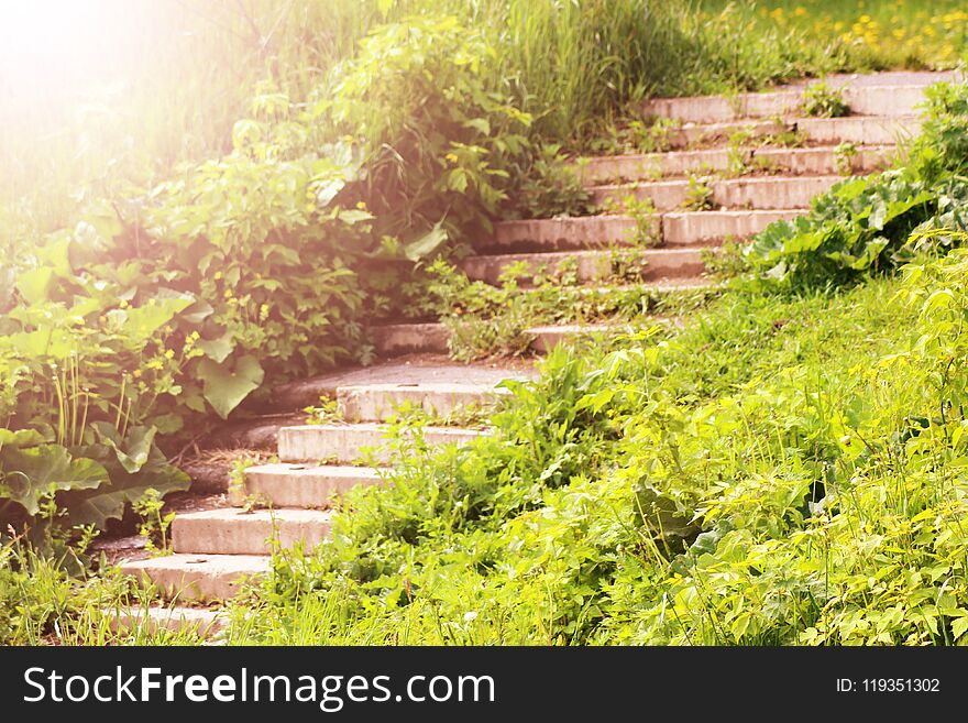 Stone stairs covered in grass leading upwards