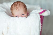Free Newly Born Child In Pink Bucket Royalty Free Stock Images - 119383059