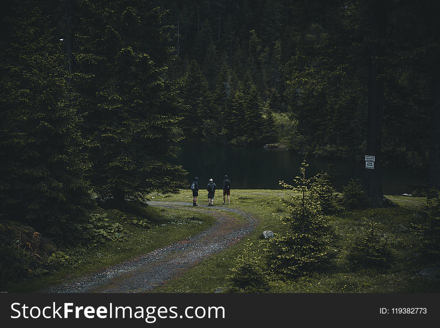 Photography of People Walking on Dirt Road