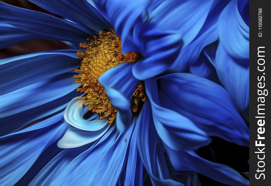 Micro Focus Photography Of Blue And Orange Petaled Flower